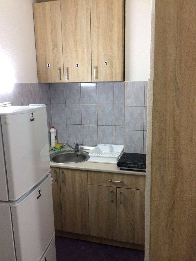 Mico Ficher Kop Kopaonik Kültér fotó